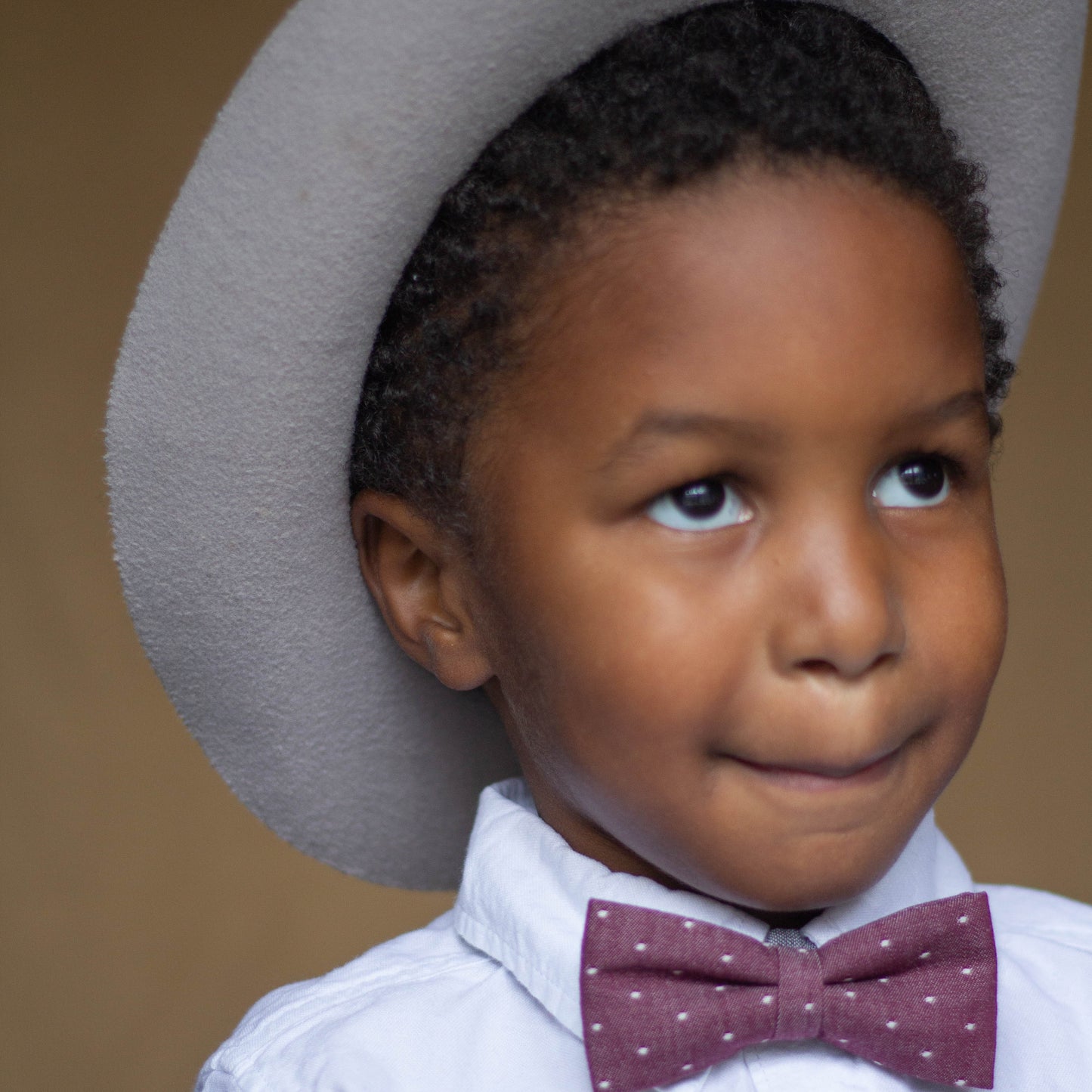 Maroon Chambray Dot Bow Tie