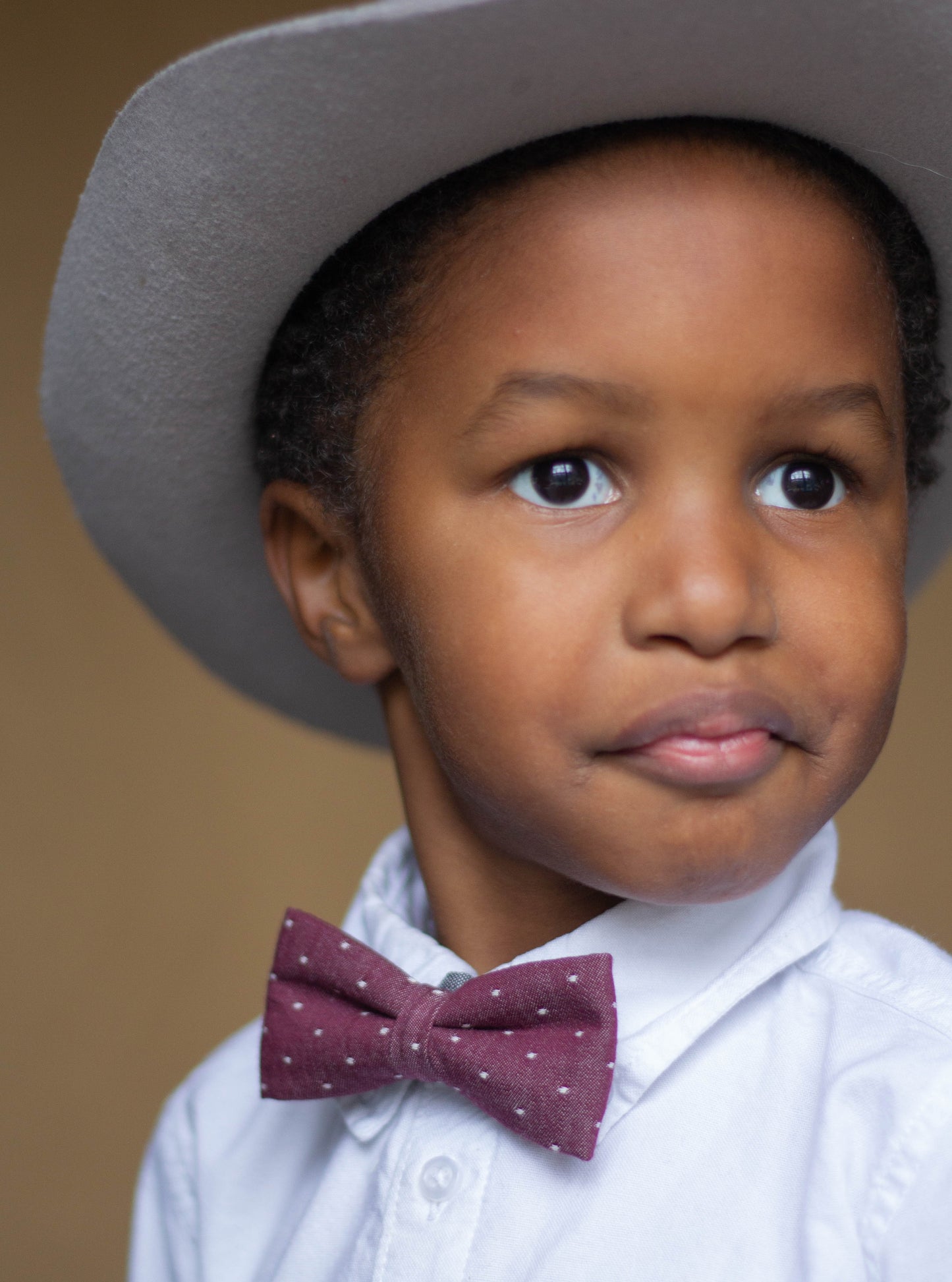 Maroon Chambray Dot Bow Tie