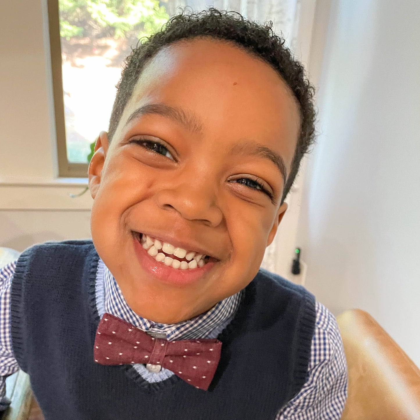 Maroon Chambray Dot Bow Tie